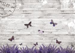 Consalnet Lepkék a falon poszter, fotótapéta, Vlies (416 x 254 cm) (C1-2241VEXXXL)