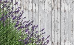Consalnet Levendulás deszkafal poszter, fotótapéta, Vlies (416 x 254 cm) (C1-2962VEXXXL)