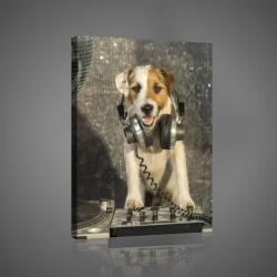 Consalnet Dj kutya, vászonkép, 40x60 cm méretben (C5-10383O4)