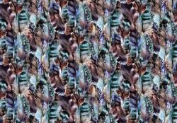 Consalnet Szines tollak poszter, fotótapéta, Vlies (104 x 70, 5 cm) (C1-10920VEM)