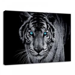 Consalnet Tigris, vászonkép, 70x50 cm méretben (C5-10202O7)