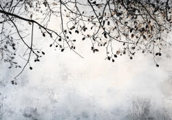 Consalnet Belógó faágak árnyéka poszter, fotótapéta, Vlies (416 x 290 cm) (C1-15454VEXXXXL)