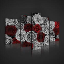 Consalnet Vászonkép, 5 darabos, Rózsák 170x100 cm méretben (C5-2430S4A)