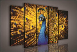 Consalnet Vászonkép, 5 darabos Páva 150x100 cm méretben (C5-1076S12)