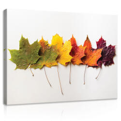 Consalnet Vászonkép, Szines levelek, 60x40 cm méretben (C5-11719O4)
