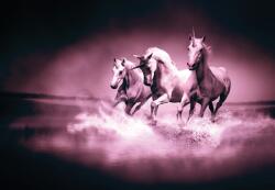 Consalnet Unikornisok poszter, fotótapéta (152, 5 x 104 cm) (C1-429VEL)