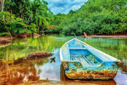 Dimex Vlies Fotótapéta - Boat in tropical river - 375x250 cm (MS-5-1818)
