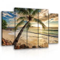 Consalnet Vászonkép, 5 darabos Pálmafa a tengernél 150x100 cm méretben (C5-11732S12)