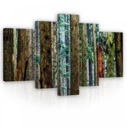 Consalnet Vászonkép, 5 darabos, Erdei fák 170x100 cm méretben (C5-11751S4A)