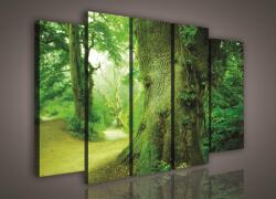 Consalnet Vászonkép, 5 darabos Erdei fa 150x100 cm méretben (C5-1100S12)
