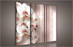 Consalnet Orchidea minta, 3 darabos vászonkép, 90x80 cm méretben (C5-843S6)