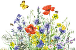Dimex Vlies Fotótapéta - Hand drawn wild flowers - 375x250 cm (MS-5-1978)
