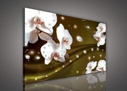 Consalnet Vászonkép, Orchidea sárgás háttéren, 60x40 cm méretben (C5-1650O4)