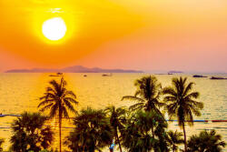 Dimex Vlies Fotótapéta - Silhouette palm tree - 375x250 cm (MS-5-1760)