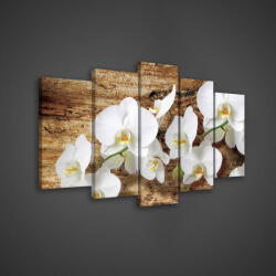 Consalnet Vászonkép 5 darabos, Orchidea 100x60 cm méretben (C5-414S17)