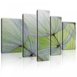 Consalnet Vászonkép, 5 darabos, Pitypang 170x100 cm méretben (C5-269S4A)