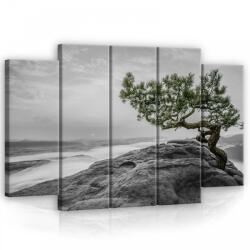 Consalnet Vászonkép, 5 darabos Fa a sziklán 150x100 cm méretben (C5-11759S12)