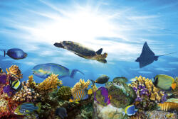 Dimex FISH fotótapéta, poszter, vlies alapanyag, 375x250 cm (MS-5-0216)