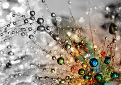 Consalnet Absztrakt poszter, fotótapéta, Vlies (208 x 146 cm) (C1-13040VEXL)