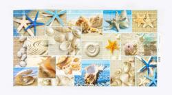 GRACE 3D PVC falpanel Kagyló, csiga mintás (TP10007983)