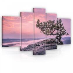 Consalnet Vászonkép, 5 darabos, Fa a sziklán 170x100 cm méretben (C5-11749S4A)