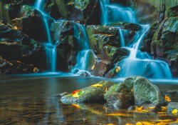 Sverus Fotótapéta Flowing Forest Stream, 416 x 290 cm (SV-111957763WM-416X290CM)