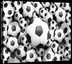 Consalnet Focilabdák, vászonkép, 60x40 cm méretben (C5-20111O4)