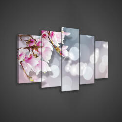 Consalnet Vászonkép 5 darabos, Almafa virága 100x60 cm méretben (C5-20028S17)