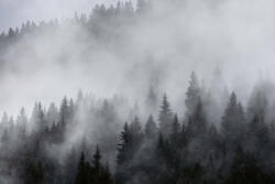 Dimex Vlies Fotótapéta - Foggy - 375x250 cm (MS-5-1894)