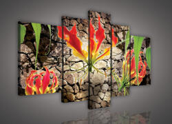 Consalnet Vászonkép, 5 darabos, Virág 170x100 cm méretben (C5-619S4A)