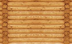 Consalnet Fatörzsek poszter, fotótapéta, Vlies (416 x 254 cm) (C1-2215VEXXXL)