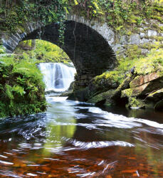 Dimex IRELAND fotótapéta, poszter, vlies alapanyag, 225x250 cm (MS-3-0081)