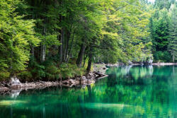 Dimex Vlies Fotótapéta - Lake and forest - 375x250 cm (MS-5-3063)
