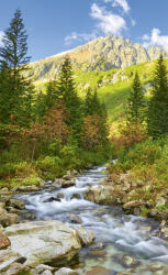 Dimex VALLEY fotótapéta, poszter, vlies alapanyag, 150x250 cm (MS-2-0077)