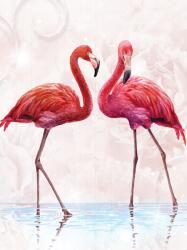 Consalnet Flamingók poszter, fotótapéta (206 x 275 cm) (C1-10199VEA)