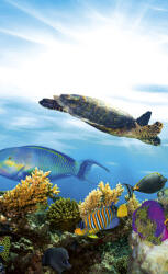 Dimex FISH fotótapéta, poszter, vlies alapanyag, 150x250 cm (MS-2-0216)