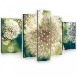 Consalnet Vászonkép, 5 darabos, Pitypangok 170x100 cm méretben (C5-10221S4A)