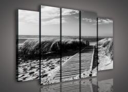 Consalnet Vászonkép, 5 darabos Út a tengerhez 150x100 cm méretben (C5-982S12)