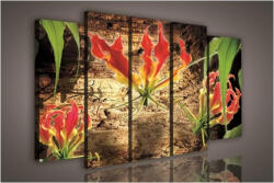 Consalnet Vászonkép, 5 darabos Virág 150x100 cm méretben (C5-620S12)