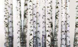 Consalnet Fák poszter, fotótapéta, Vlies (104 x 70, 5 cm) (C1-1970VEM)