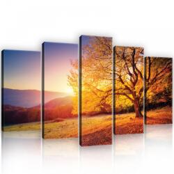 Consalnet Vászonkép 5 darabos, Őszi mező, hegyvidék 100x60 cm méretben (C5-12640S17)