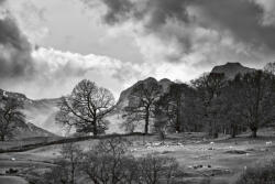 Dimex Vlies Fotótapéta - Countryside - 375x250 cm (MS-5-1738)