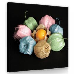 Consalnet Színes lampionvirág, vászonkép 40x40 cm méretben (C5-11781O5)