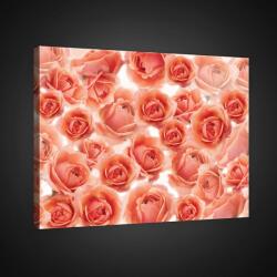 Consalnet Vászonkép, Rózsák, 100x75 cm méretben (C5-2339O1)