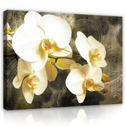 Consalnet Vászonkép, Orchidea, 80x60 cm méretben (C5-2395O6)