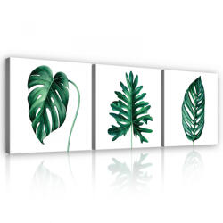 Consalnet Vászonkép 3 darabos, Trópusi levelek, 3 db 25x25 cm méret (C5-13639S13)
