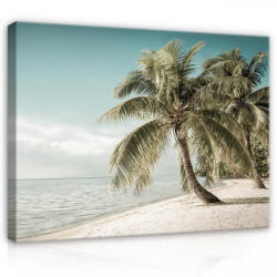 Consalnet Vászonkép, Pálmafás tengerpart, 60x40 cm méretben (C5-13343O4)