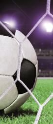 Consalnet Football öntapadós poszter, fotótapéta 155SKT /91x211 cm/ (155-SKT)