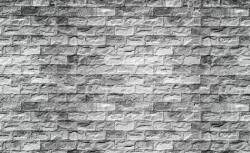 Consalnet Téglafal poszter, fotótapéta, Vlies (416 x 254 cm) (C1-1659VEXXXL)