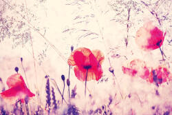 Dimex Vlies Fotótapéta - Vintage filtered photo - 375x250 cm (MS-5-2009)